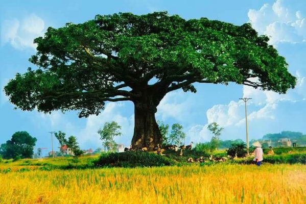 Giá trị cuộc sống
