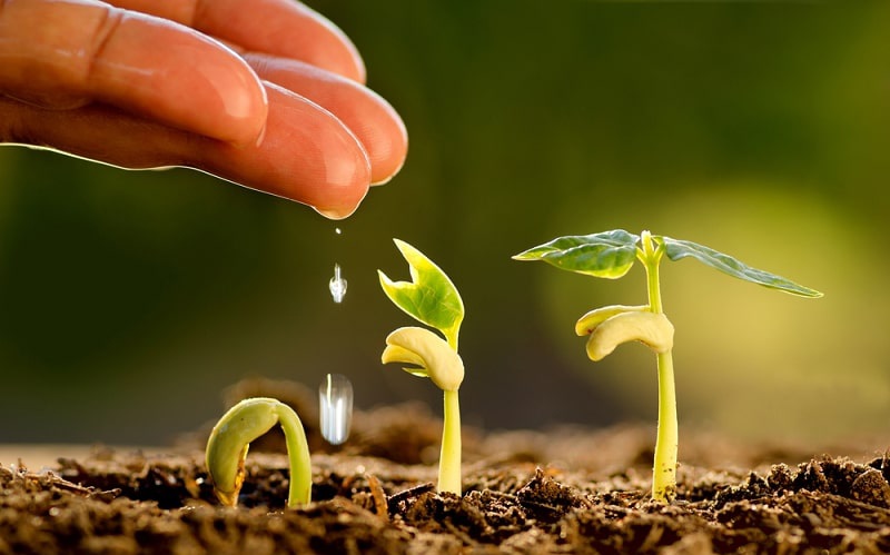 Điều quan trọng nhất trong cuộc sống