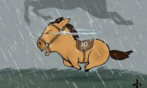 NĂM NGỰA BÀN CHUYỆN NGỰA